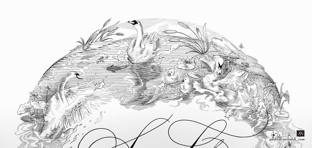 Swan Lake With Cygnes and Koi Fish Illustration Engraving Pen and Ink Handdrawn