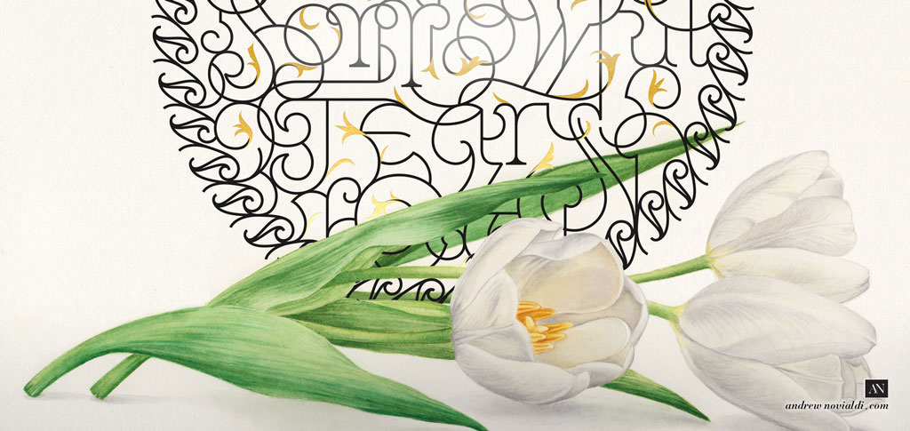 The Shades of Love - Love Lost White Purissima Tulip Watercolor Botanical Illustration Painting