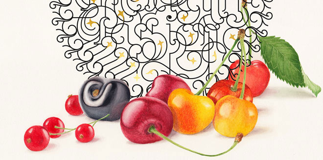 The Shades of Love - Love Joy Blushing Red Cherry and Yellow Rainier Cherries Watercolor Botanical Illustration Painting